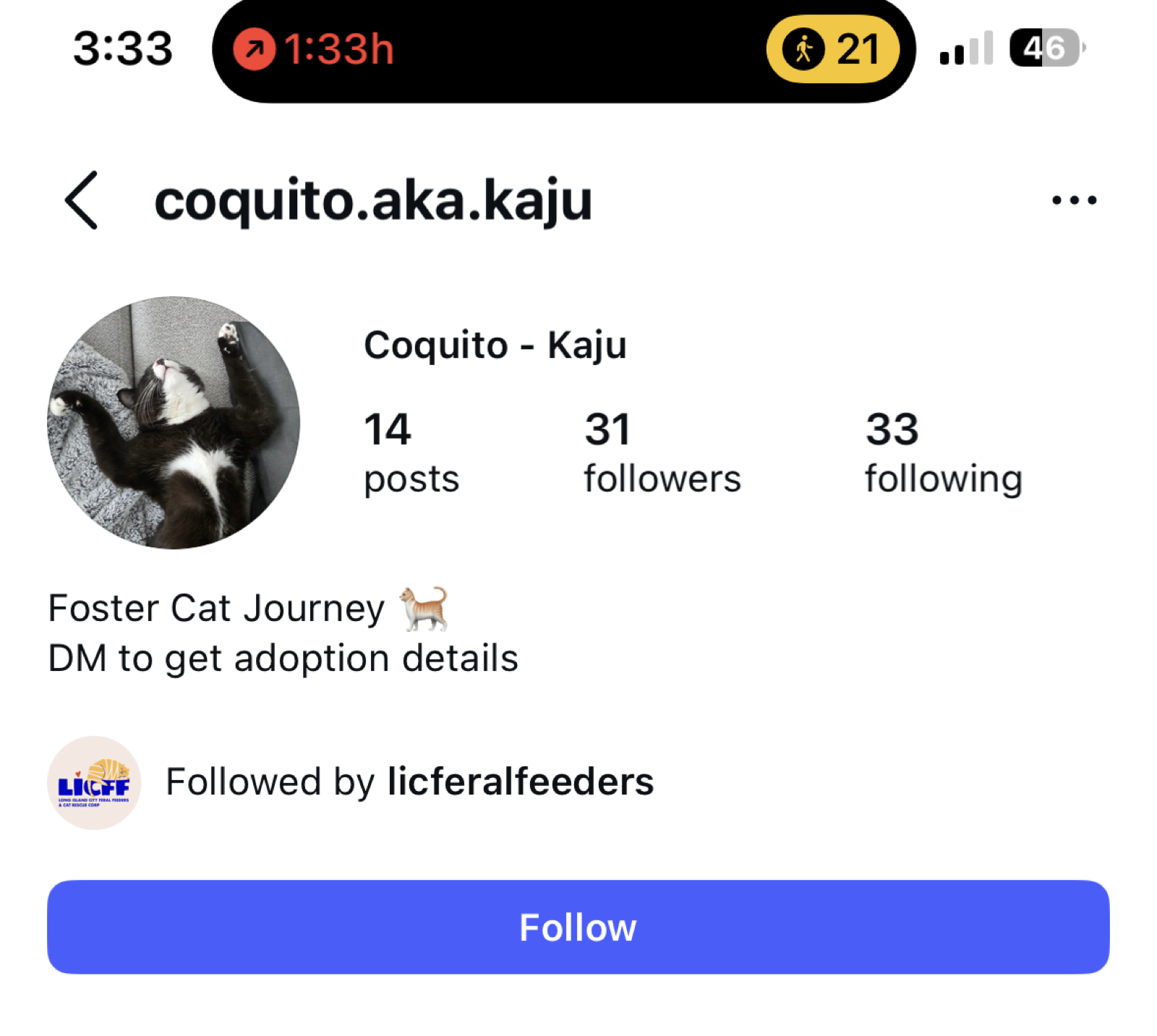 Fio's old Instagram profile.