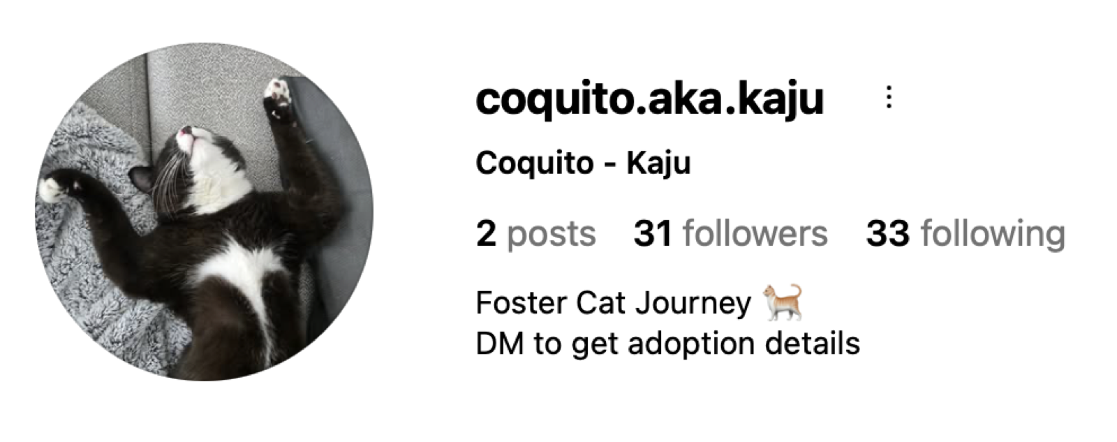 Fio's old Instagram profile after posts were removed.